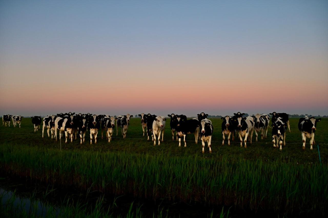 Vakantiehuis op Landgoed koepeltjesplaats Gaast Buitenkant foto