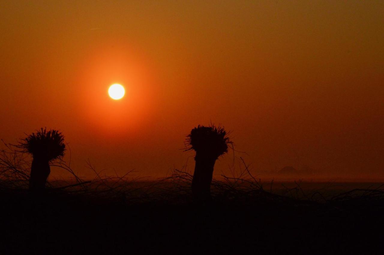 Vakantiehuis op Landgoed koepeltjesplaats Gaast Buitenkant foto