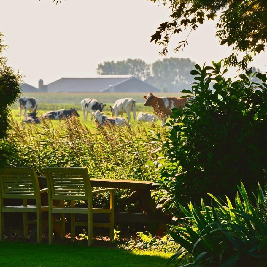 Vakantiehuis op Landgoed koepeltjesplaats Gaast Buitenkant foto